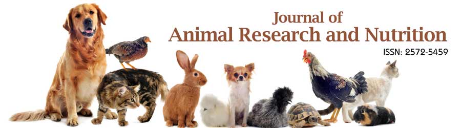 Animal Research and Nutrition | Insight Medical Publishing | Home