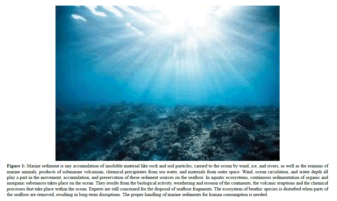 annals-biological-sciences-marine-sediment