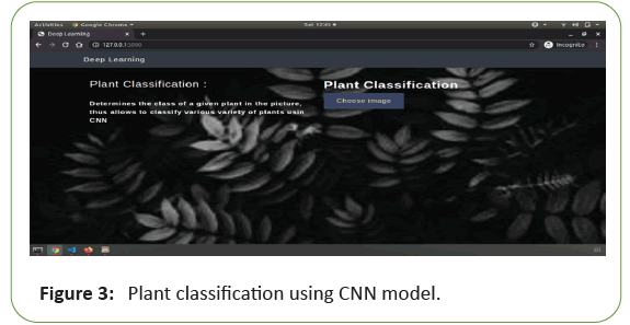 global-research-classification