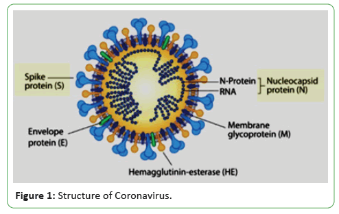 global-research-coronavirus