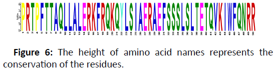 molecular-biology-amino