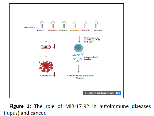 autoimmune-autoimmune