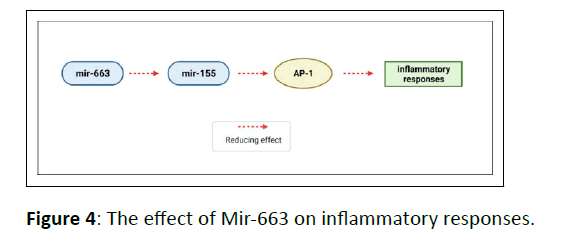 autoimmune-inflammatory