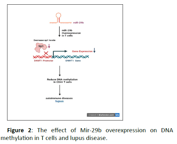 autoimmune-overexpression