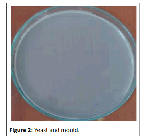 ipjhm-Yeast