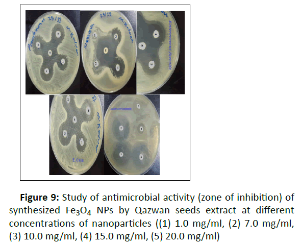 nano-research-antimicrobial