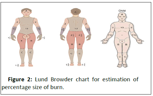 pediatric-care-browder