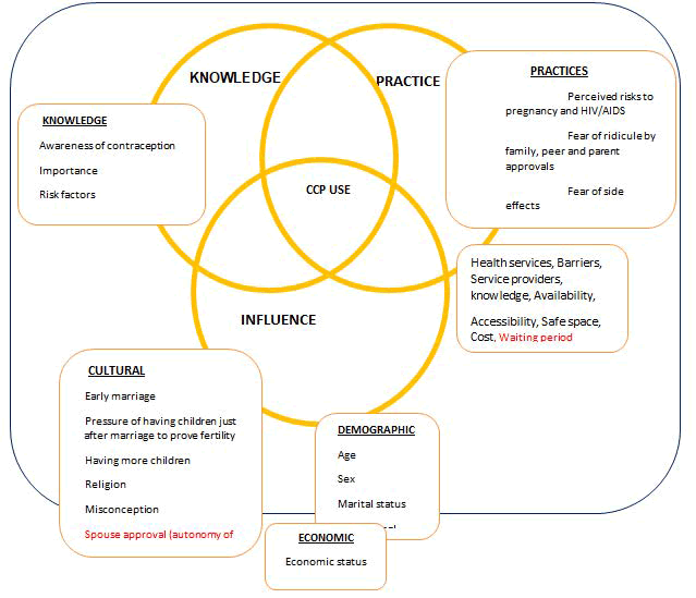 reproductive-health-framework