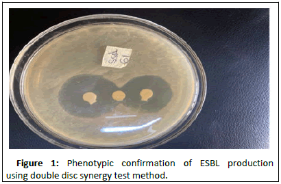 Pharmaceutical-Microbiology