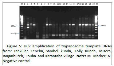 abs-PCR