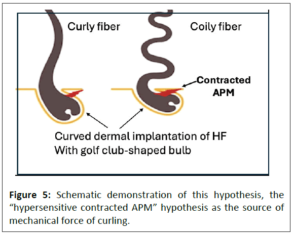 american-journal-hypothesis