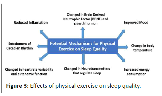 ipjnp-Effects