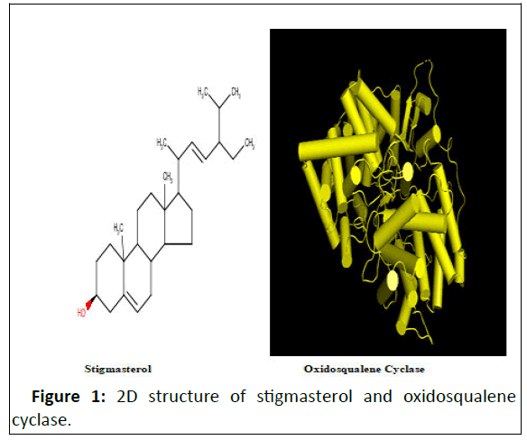 ipjsvp-structure