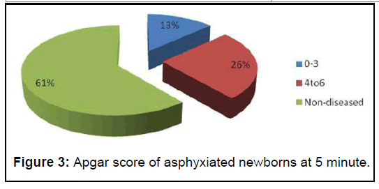 ippecm-Apgar