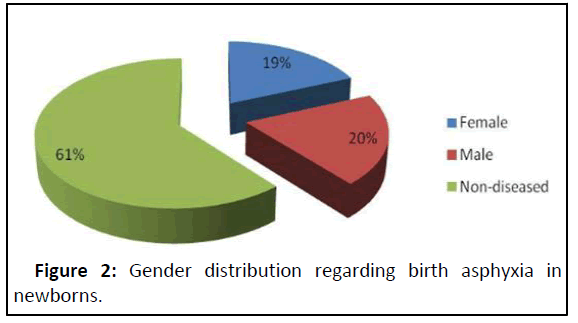 ippecm-Gender