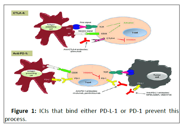 molecular-endocrinology-either