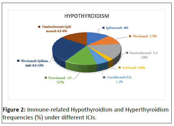 molecular-endocrinology-hypothyroidism