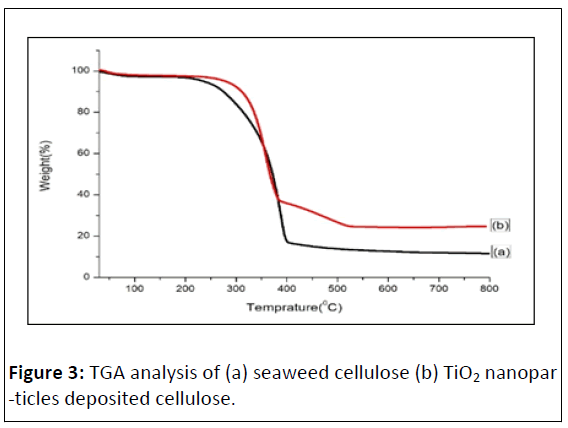 nano-research-cellulose