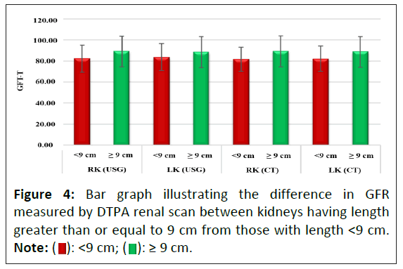 clinical-experimental-renal-scan