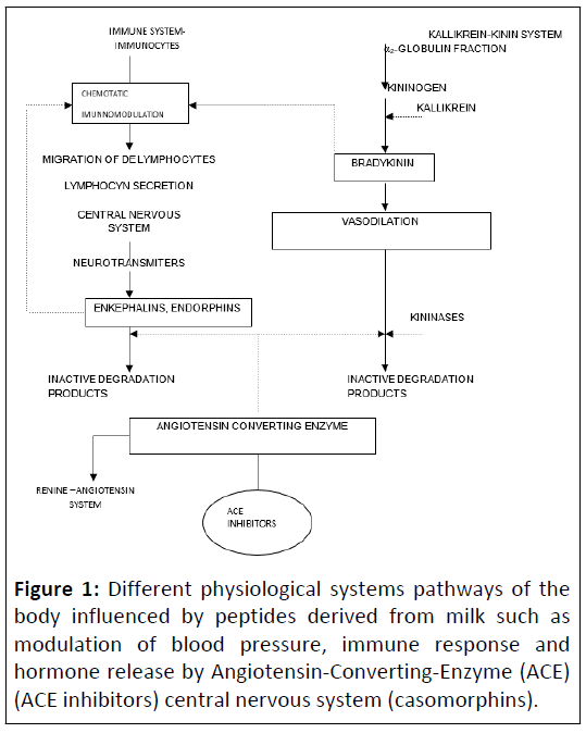clinical-nutrition-physiological