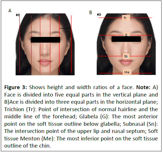 dentistry-vertical-plane