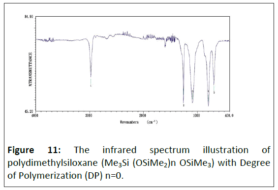 medical-physics-polymerization