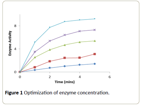 Insights-Enzyme-Research-concentration