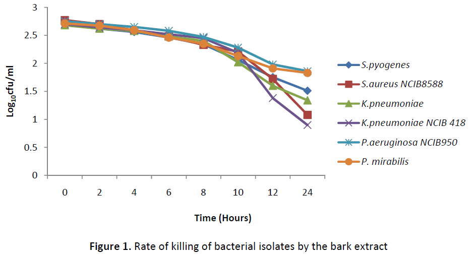 ethnomedicine-killing-bacterial-bark