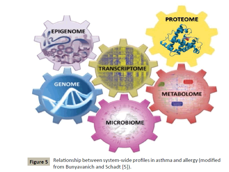 immunology-microbiology-profiles-asthma