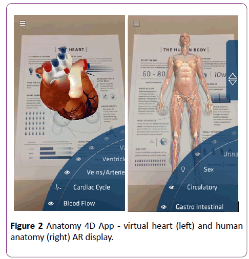 nursing-health-studies-Anatomy-4D
