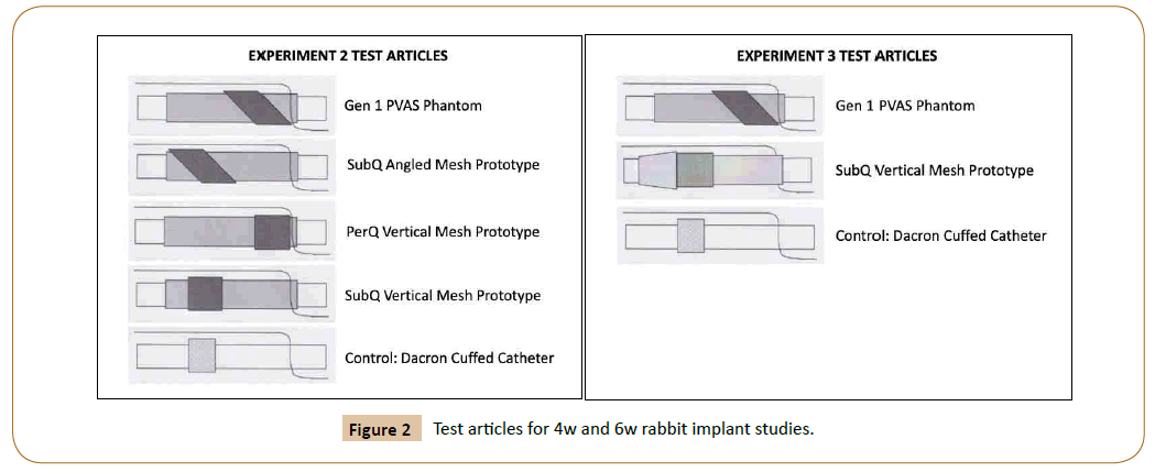 vascular-endovascular-therapy-rabbit-implant